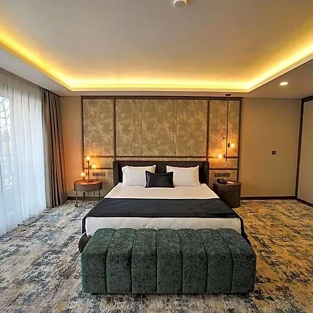The Alpfine Hotel